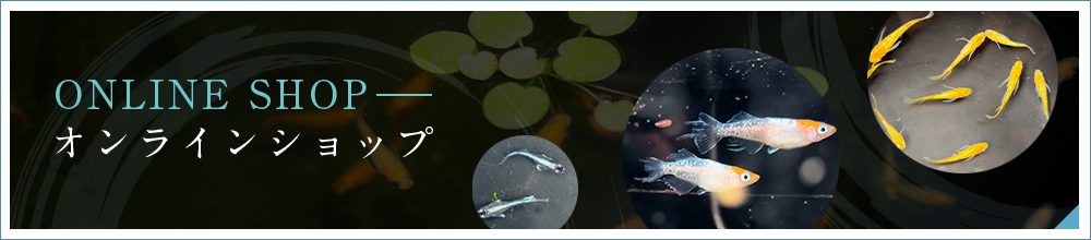 オンラインショップ